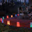 Ensemble de luminaires électriques multicolores