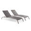 Chaise longue d'extérieur Havenside Home Wendu-36992737