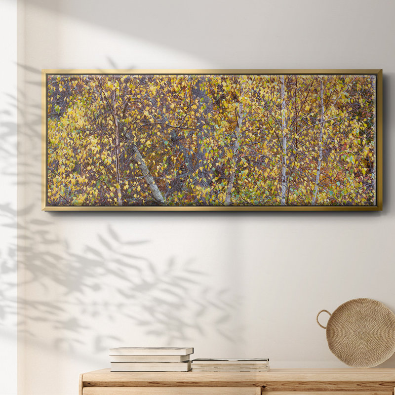 Tree Panorama III- Framed Canvas, 24" H x 60" W