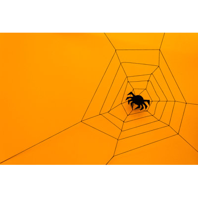 Rimsdale Black Paper Spider With Web - Wrapped Canvas Print