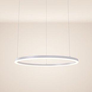 LED pendant lamp Ring 80 5M suspension 1