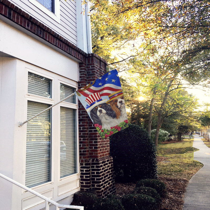 Drapeau de maison Hvidovre Sheltie Halloween en polyester à 2 faces 3 x 2 pi, Épagneul cavalier États-Unis