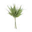 Fern Bundle (Set of 2)-214120564