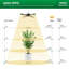 Brayden Studio Grow Light