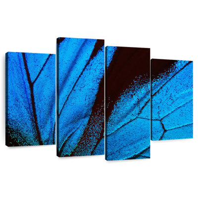Ailes de papillon azur Brampt