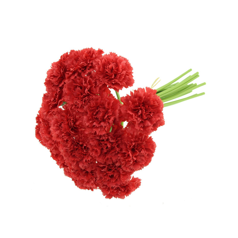 Carnation Arrangement, Red