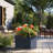 Lapria Handmade Planter Box-1647813146-1647813145
