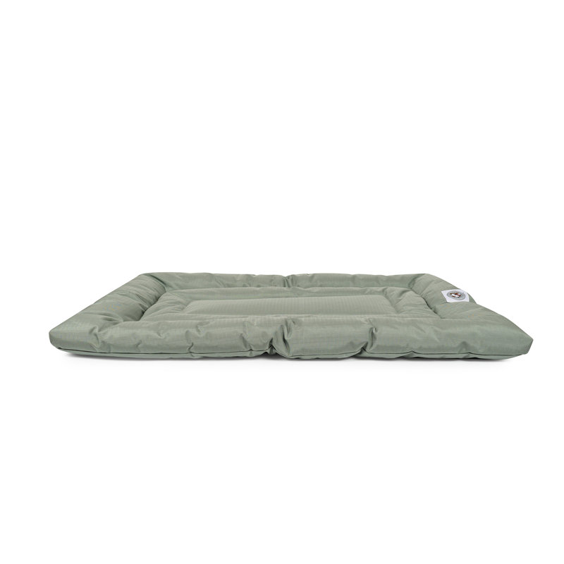 Coussin confortable Brutus Tough Resistant, Grand (l 42 po x P 26 po x H 2 po), Vert