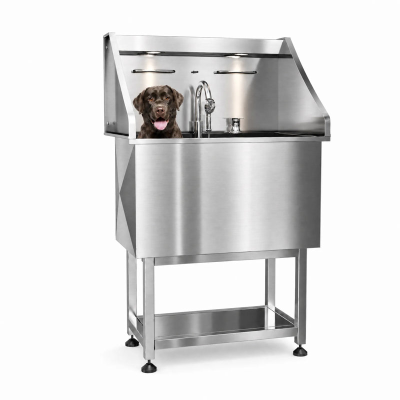 Station de lavage pour chien, station de baignade pour chien en acier inoxydable à DEL (32 po)