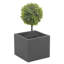 Emmilyn Pot Planter-1243062859