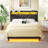 Storage Bed with USB Charging & LED Lights - Upholstered Wingback Design & Metal Frame Includes Headboard-575976583-575976580