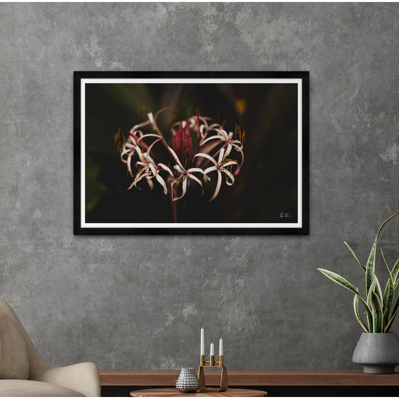 " Flora "