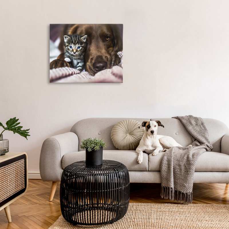 Kitten & Dog Snuggling Canvas Wall Art by Natalie Grosse, 30" H x 40" W