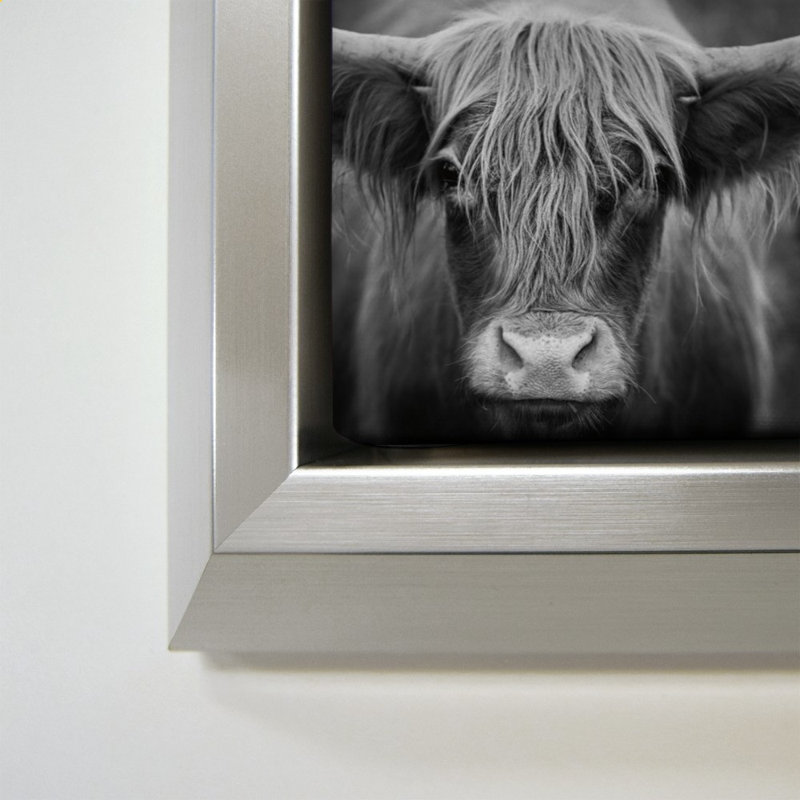 Nez de vache BW, Argent