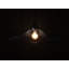 Ayios 1 - Light Cone Pendant-26297145