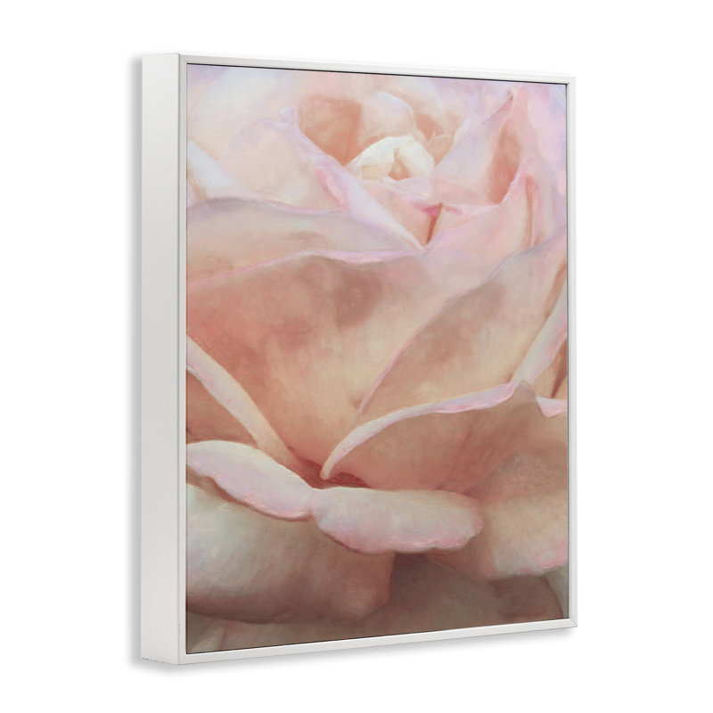 Doux pétales de rose par Alonzo Saunders bg-076, Estampe numérique encadrée blanc bord de mer, H 20 po x l 16 po