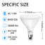Ampoules PAR38 2700 - 2-136330655