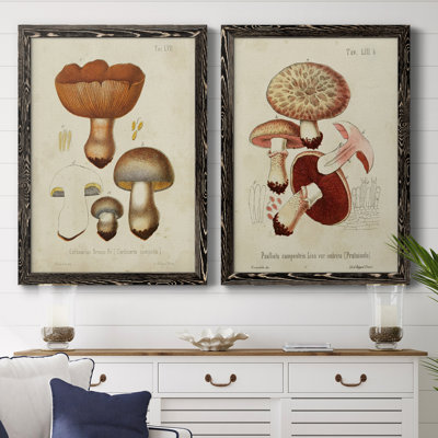 Champignon Variétés I - Toile encadrée de qualité supérieure - prête à être accrochée