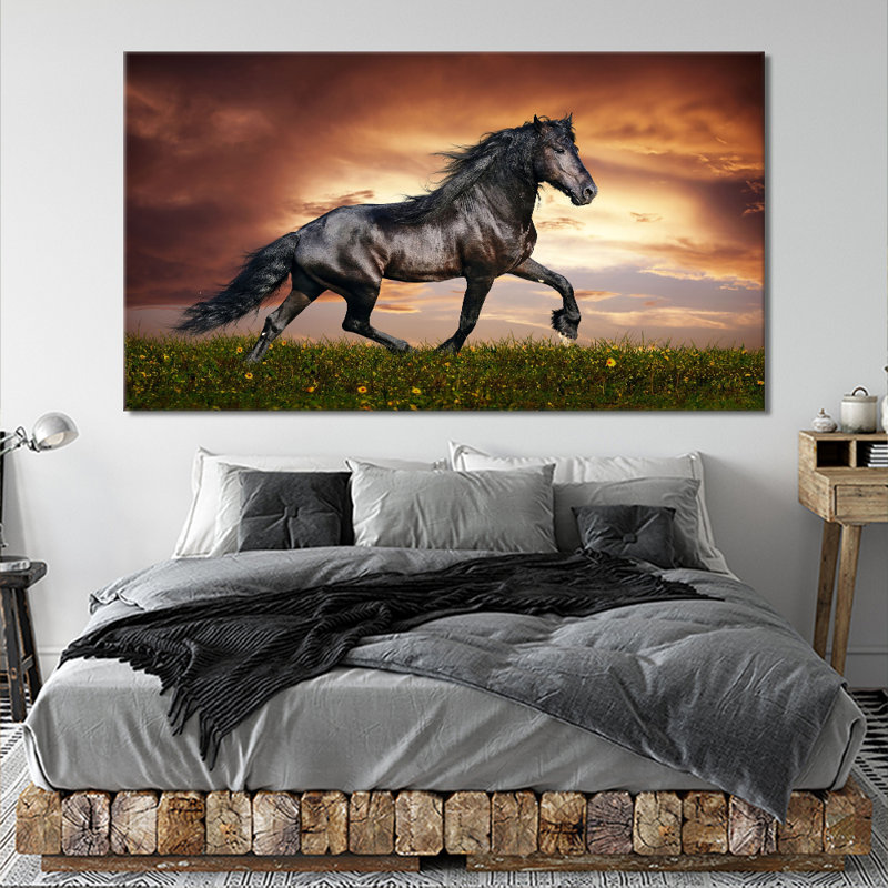Beautiful Stallion - Wrapped Canvas Art Prints, 31cm H x 51cm W x 2cm D