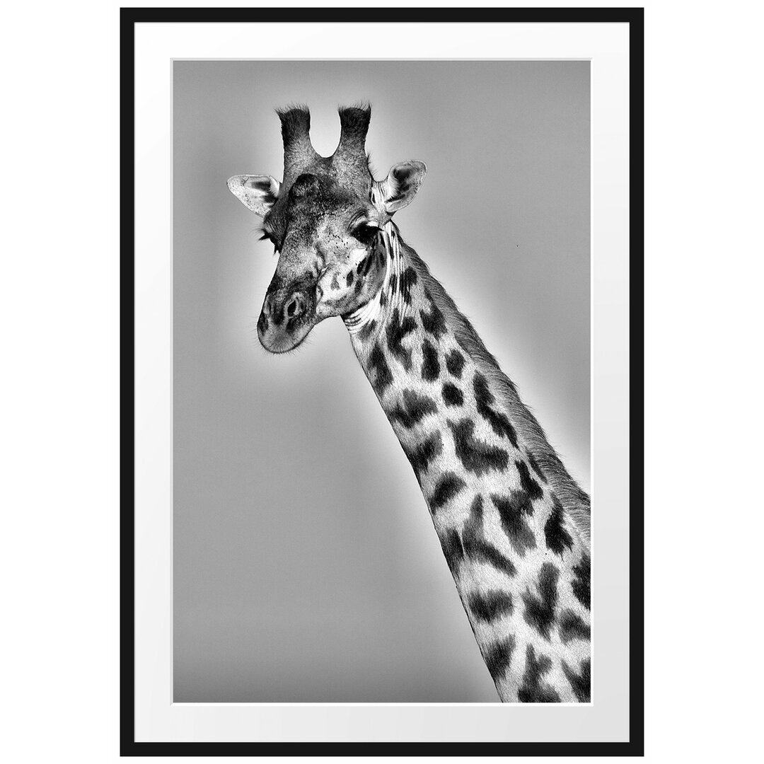 Gerahmtes Poster Majestätische Giraffe