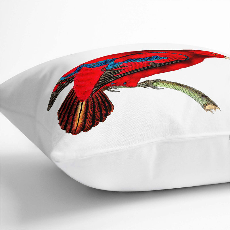 Blue-Tipped Lory Square Throw Cushion, 55cm H x 55cm W x 20cm D, White