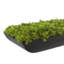 Moss 6" Artificial in Fiberstone Planter-1306162796-1306519055