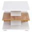 Maudry Abstract Coffee Table with Storage