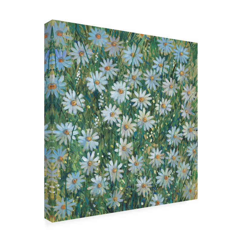 Ophelia & Co., Tim Otoole, un champ de marguerites I, art mural sur toile, H 18 po x l 18 po