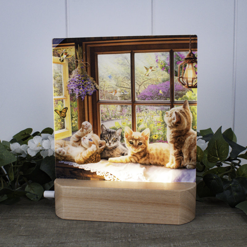Veilleuse DEL Playful Kittens