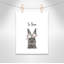 Le lapin est courage-48187579-48187576