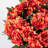Marigold Potted Arrangement