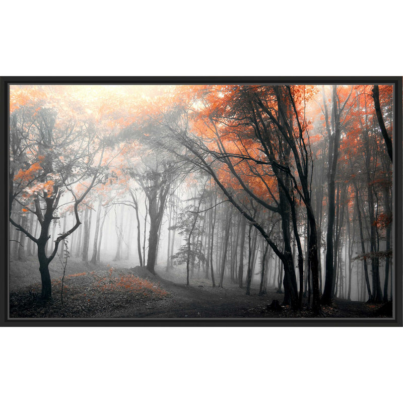 Autumn Woods I par - photographie, H 21,5 po x l 33,5 po x P 2 po, Cadre flottant noir