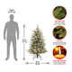 The Holiday Aisle® Dunhill Fir Tree with Clear Lights