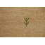 Tapis tribal Gabbeh 3 x 10