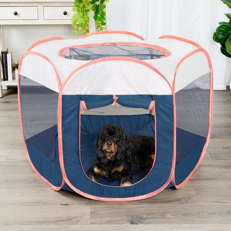 with Pet Door, 29" H x 42" W x 36" D, Navy