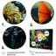 Poissons sous l'eau, art mural multipanel