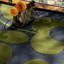 Hand Tufted Wool Floral Area Rug-315454052