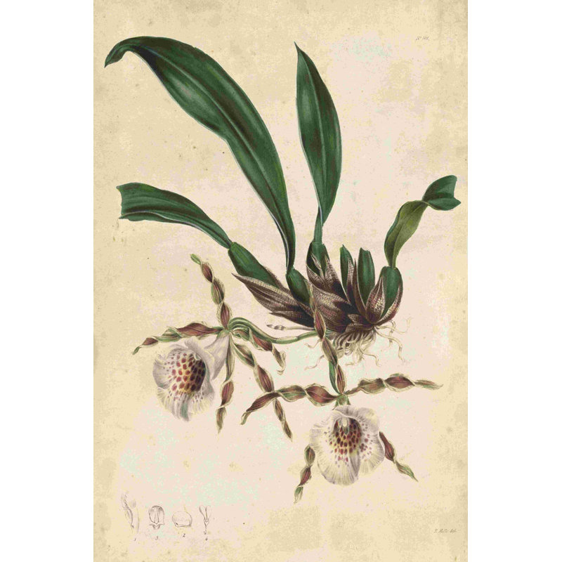 " Sophisticated Orchid II ", 12" H x 8" W  