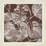 Brown Briar 6 Framed Print