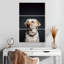 Brampt loufoque le Labrador-108563078