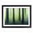 Black Framed