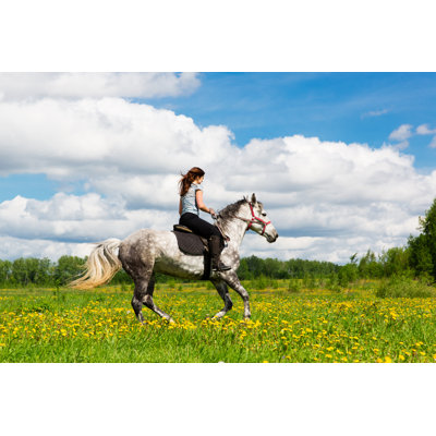 " Woman Riding On Horse " by Fottograff