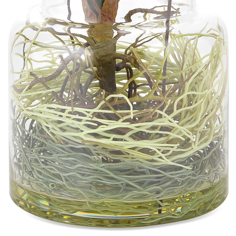 Orchid Arrangement in Vase