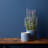 Chayne Ceramic Pot Planter