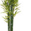 Ensemble de plantes Nadia-132797842-132797843