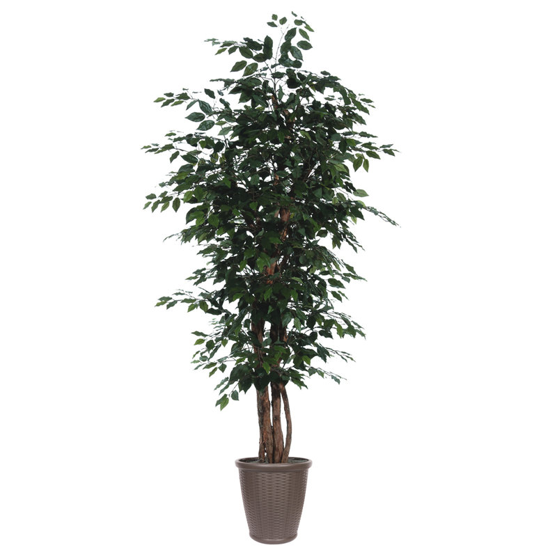 Ficus artificiel en pot 84 po, Brun