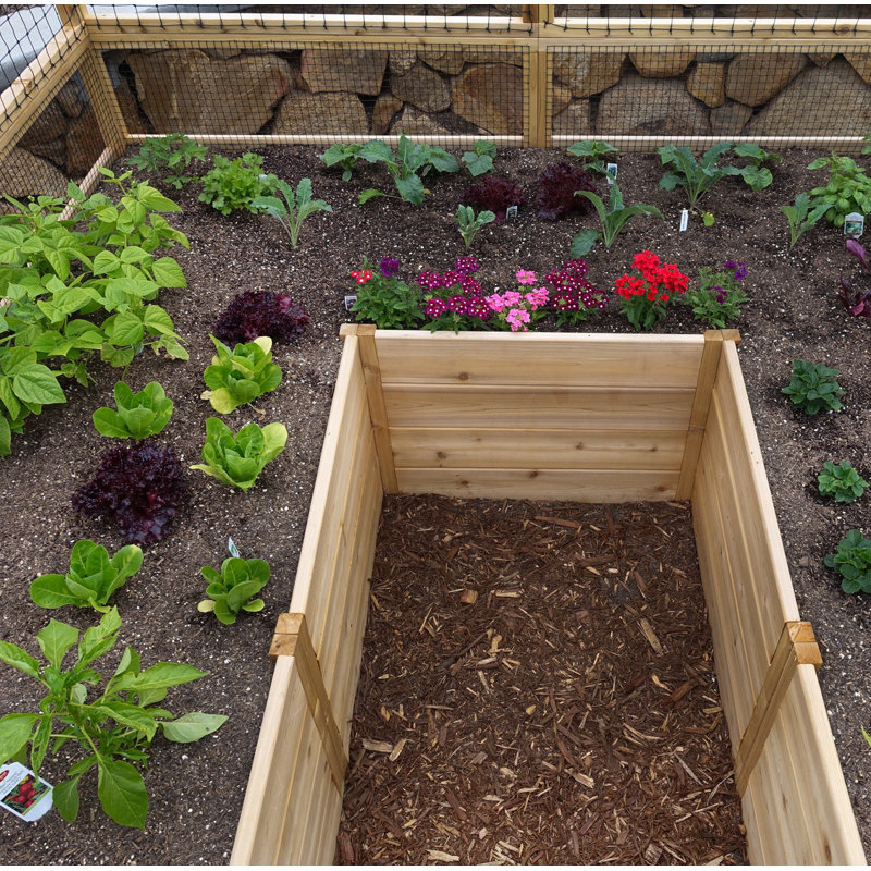 8 ft. W x 16 ft. D Cedar Garden in a Box