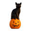 Figurine d'Halloween sur une citrouille
