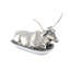 Western Pewter Butter Dish