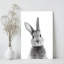 Tableau encadré sur toile - Portrait de lapin noir et blanc, photographie réaliste - 61 x 91 cm (24 x 36 pouces) pour salon et chambre